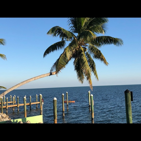 Meet your Posher, Elaine - Picture 1 of 1